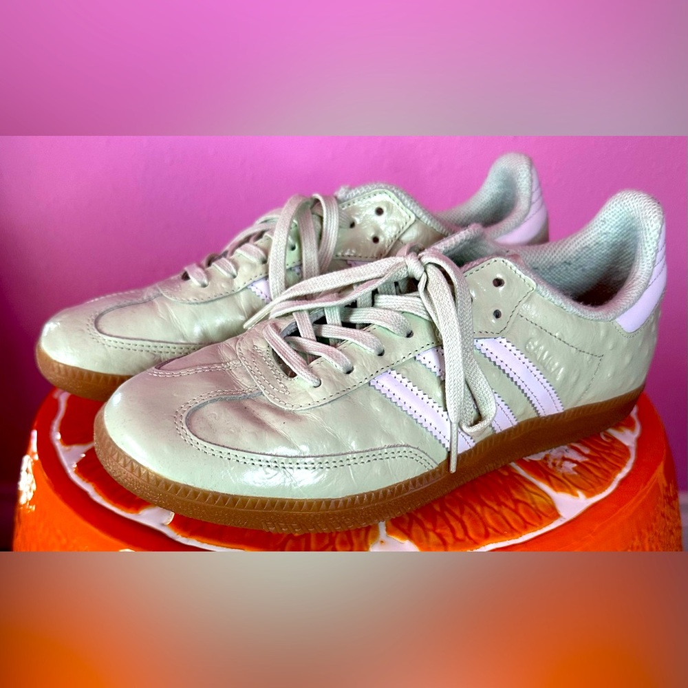 Adidas naked x samba